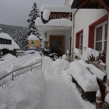 פלדברג Haus Sommerberg מראה חיצוני תמונה