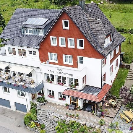 פלדברג Haus Sommerberg מראה חיצוני תמונה