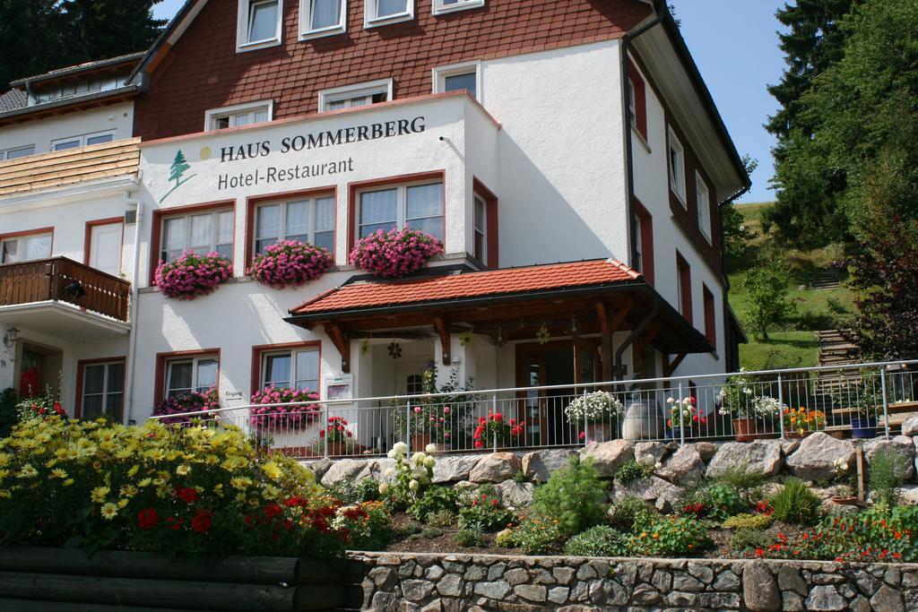 פלדברג Haus Sommerberg מראה חיצוני תמונה